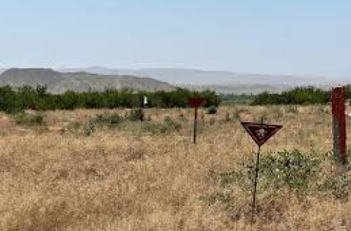 Müharibədə fəaliyyəti olan minaaxtaranlara “müharibə veteranı” statusunun verilməsi təklif edilir