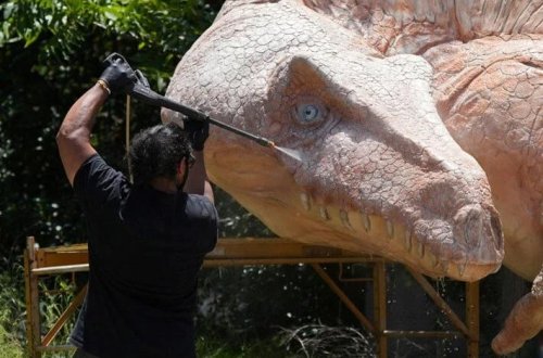 Alimlər yeni dinozavr növü kəşf ediblər