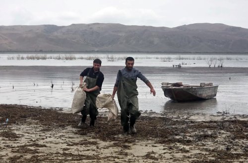 Mingəçevir su anbarı və Kür çayında qanunsuz balıq ovu faktları aşkarlanıb (FOTO)