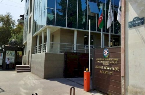 Bu dövlət qurumunda 39 milyonluq yeyinti aşkar edildi - RƏSMİ