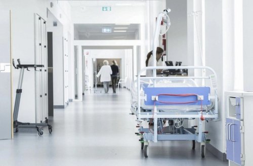 Şəkidə qoz ağacından yıxılan 65 yaşlı kişi ölüb