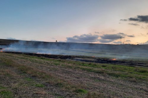 Şamaxıda yanğın törədən şəxs məsuliyyətə cəlb olunub