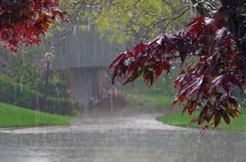 Bəzi yerlərdə yağıntı davam edir - FAKTİKİ HAVA