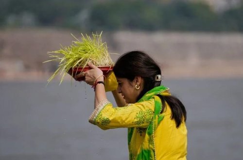 Hindistanda çiçək qülləsi rekord qırır