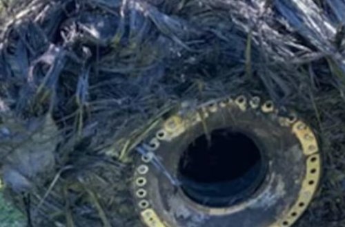 Argentinada sirli kosmik kapsul panikası