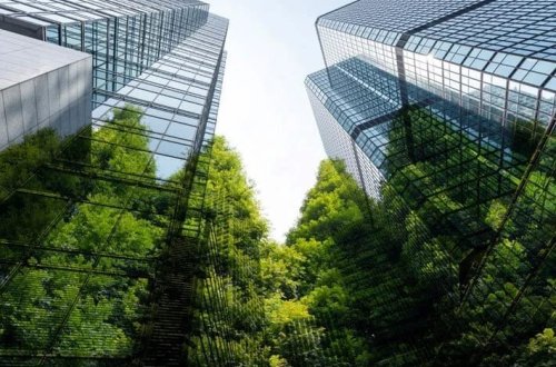 Avropada hər gün 600 futbol sahəsi qədər yaşıl sahə itirilir