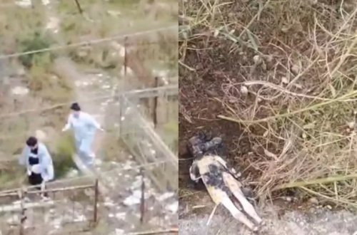 Bakıda qəbirstanlığa cadu basdıran qadınların görüntüləri yayıldı - VİDEO