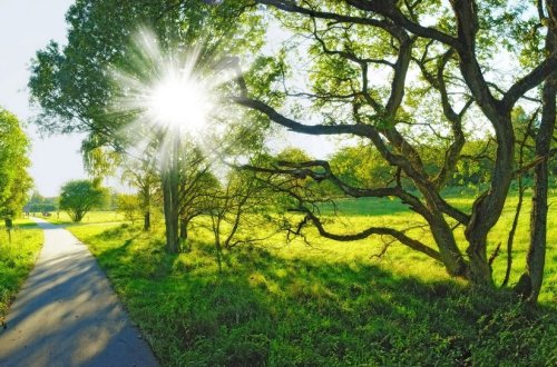Sabahın hava proqnozu açıqlanıb