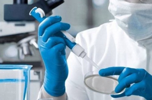 Çində çikunqunya virusuna 3 mindən çox yeni yoluxma qeydə alınıb