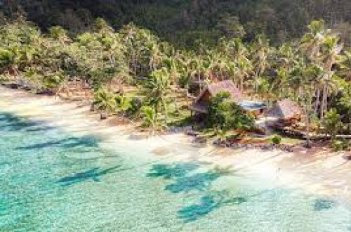 Fici sahillərində güclü zəlzələ baş verib