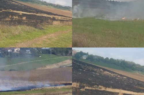 Qusarda əkin sahələrini yandıran 3 nəfər saxlanıldı