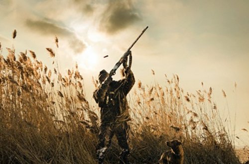 Ov mövsümü açıq elan edilib