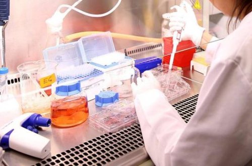 Alimlər hüceyrələri cavan qalmaq üçün aldadan qida molekullarını kəşf ediblər