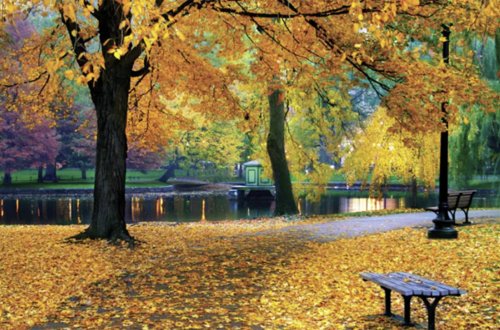 Sabah hava necə olacaq?