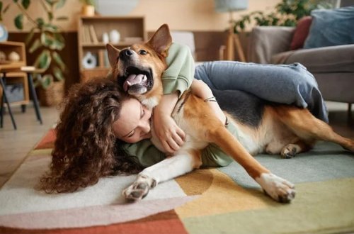 İtlər bioloji qocalmanı ləngidə bilər