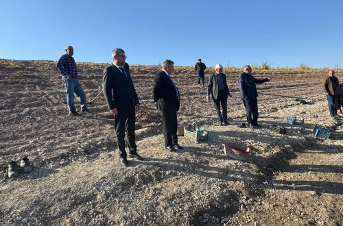 Zaur Mikayılovun tapşırığı ilə ADSEA nümayəndə heyəti Naxçıvanda əraziyə baxış keçirib