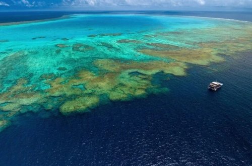 Sakit Okeanı qaynayır: Elm tərəfindən izah olunmayan rekord istilik