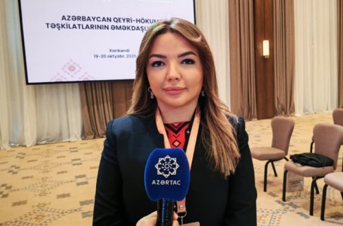 Agentlik 19 dövlət proqramı üzrə 67 tapşırığın icrasını 97 faiz nəticə ilə yekunlaşdırıb - AYGÜN ƏLİYEVA