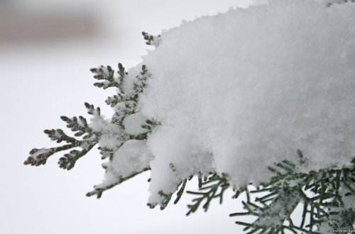 Sabah dağlıq ərazilərdə qar yağacaq