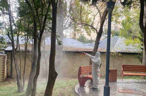 Paytaxtda müşahidə olunan qurdlar məhv edilir - FOTOLAR