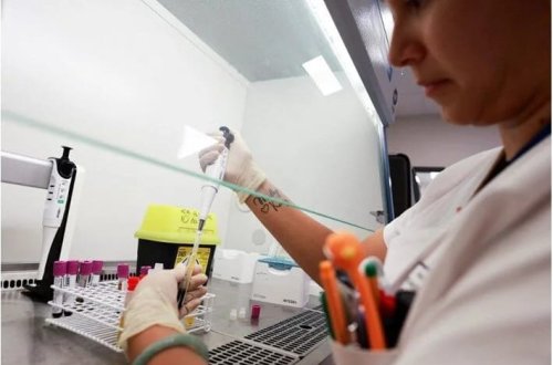 Çikunqunya qızdırması yayılır