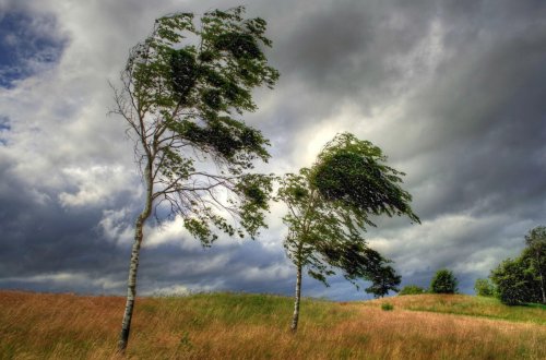 Küləkli hava şəraiti ilə bağlı sarı və narıncı XƏBƏRDARLIQ