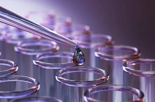 Ömrü uzadan dərman kokteyli: Siçanlarda ömür yüzdə 73 artdı