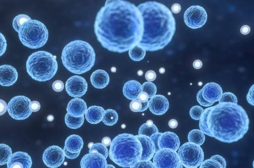 ABŞ-da Listeriya virusu: 6 nəfər ölüb