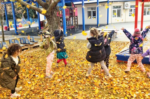 Noyabrda 9 gün dərs olmayacaq