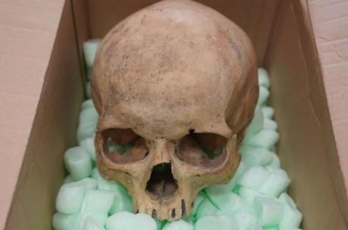 60 il əvvəl oğurlanan kəllə sümüyü geri qaytarılıb