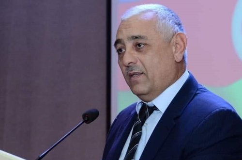 Prezident İlham Əliyev araşdırmaçı professor Seyfəddin Rzasoyu təltif etdi