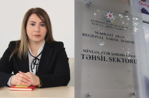 Sevinc Həsənovaya şiddətli töhmət verildi