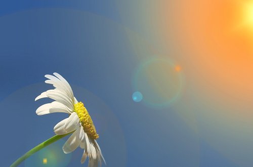 Sabah 23 dərəcə isti olacaq