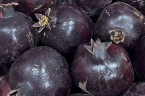 Göyçaydakı “qara nar” hər kəsi təəccübləndirdi