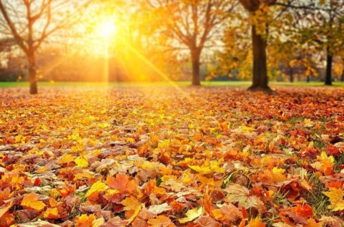 Sabah 21 dərəcə isti olacaq