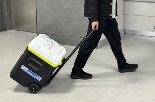 Yeni süni intellekt vasitəsi orqan nəqli səylərini 60 faiz azalda bilər