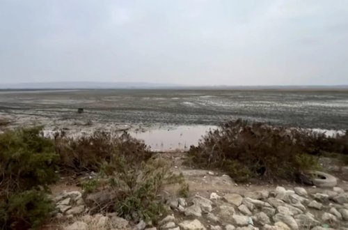 Azərbaycanın ən böyük göllərindən biri quruyur: Ekoloqlar həyəcan təbili çalır (VİDEO)