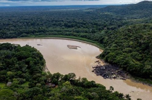Soya qadağasının ləğvi fəlakətli ola bilər