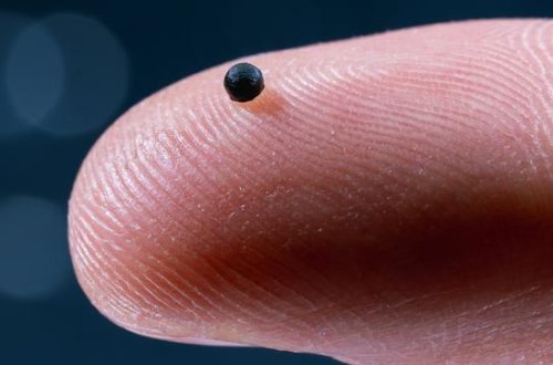 Mütəxəssislər qan damarlarından keçə bilən mikrorobotları sınaqdan keçiriblər