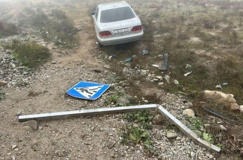 Avtomobil qoyun sürüsünə çırpıldı, Onlarla heyvan tələf oldu - FOTO