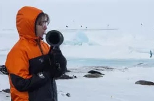 Dünyanın ən soyuq səhnəsi: -21 dərəcədə bir qadın konserti 