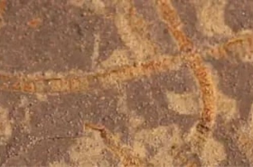 3,3 milyard illik qayalarda qədim həyatın izləri tapılıb