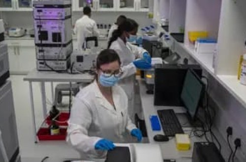 Hər il 1 milyon insan vərəmdən ölür