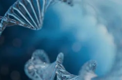 Dünyada bir ilk: Hunter sindromlu bir xəstədə gen terapiyasının uğuru 