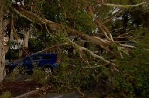 Avstraliyada güclü fırtına: Onminlərlə sakin işıqsız qalıb