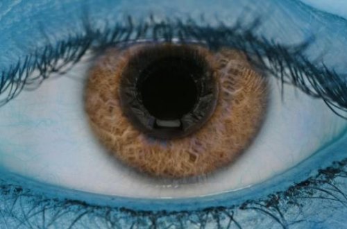 Yeni kök hüceyrə transplantasiyası görmə itkisini bərpa edir