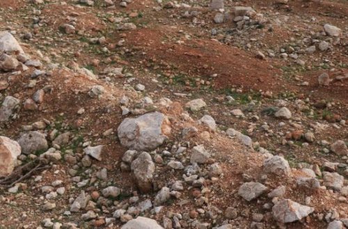 Suriyanın Homs əyalətində 4 kütləvi məzarlıq aşkar edilib