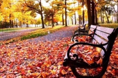 Noyabrda havaların mülayim keçməsinin SƏBƏBİ