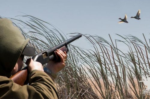 Ov mövsümü başa çatdı