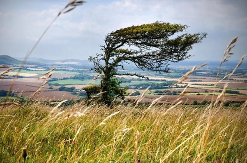 Küləklə bağlı - Xəbərdarlıq